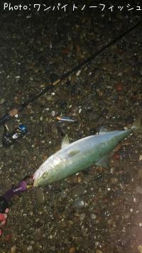 ���ʤ�����