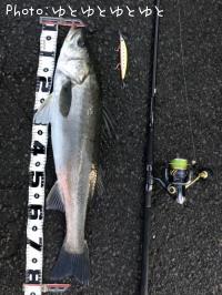 �����Х�