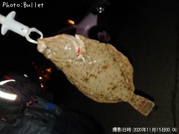 �������쥤