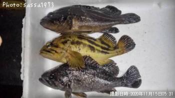 ���ޥ���