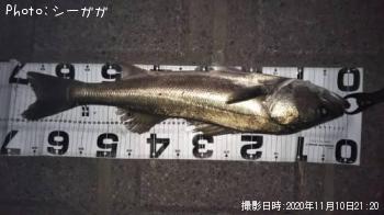 �����Х�