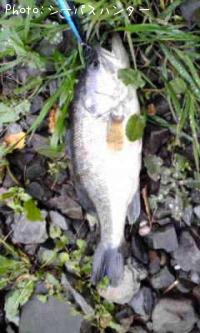 �֥�å��Х�