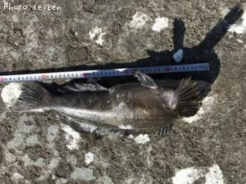 �����ʥ�