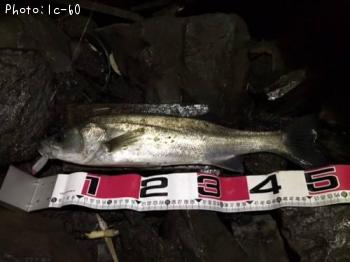 �����Х�