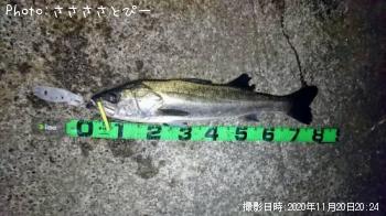 ��󥫡������Х�