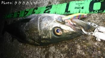 ��󥫡������Х�