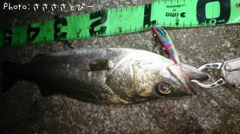 ��󥫡������Х�