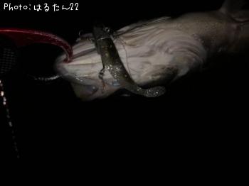 �����Х�