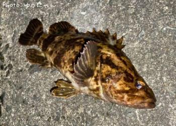 �����Υ���Х�