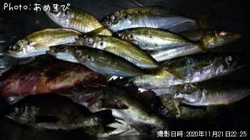 ��������Х롢���������С�������