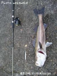 �����Х�