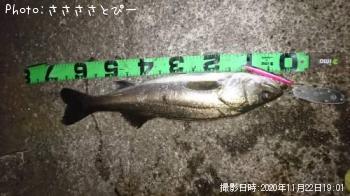 �����Х�