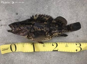 ¥¿¥±¥Î¥³¥á¥Ð¥ë