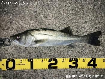 �����Х�