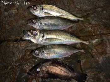 ¥¢¥¸¡¢¥á¥Ð¥ë