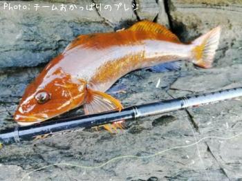 �����ʥ�