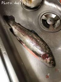 �䥷���ޥ�