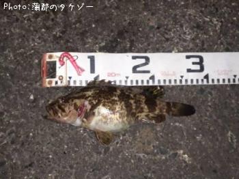 �����Υ���Х�ǥ��