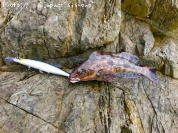 �����ʥ�