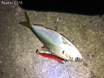 ���Υ���