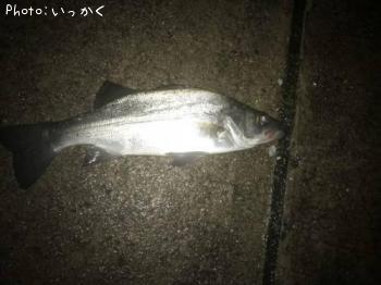 �ҥ饹����