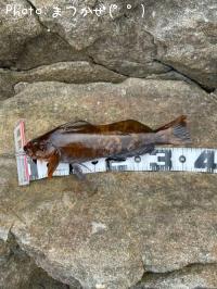 �����ʥ�