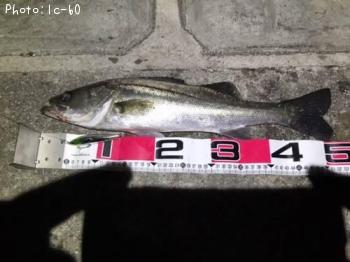 �����Х�