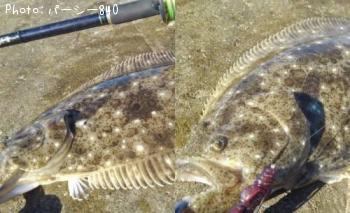 �ҥ��ʥ�����