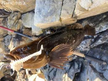 �����ʥ�