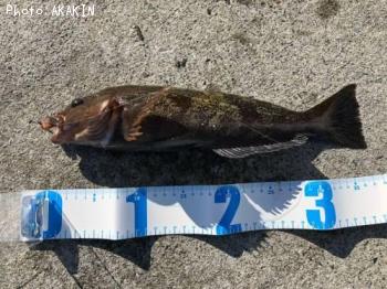 �����ʥ�