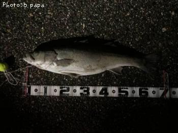 �����Х�