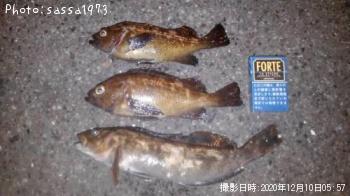 �����ʥ�