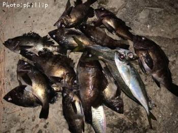 ��������Х�