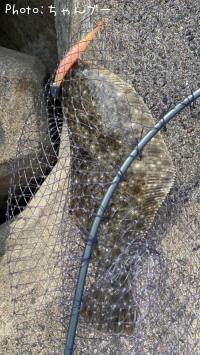 �ҥ��ʥ�����