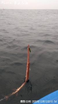 �����䥬��