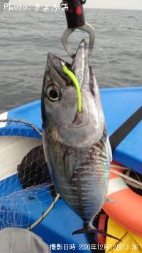 ¥á¥¸¥Þ¥°¥í