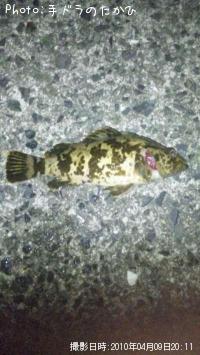 �����Υ���Х�