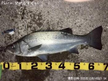 �ҥ饹����