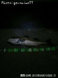 �����Х�