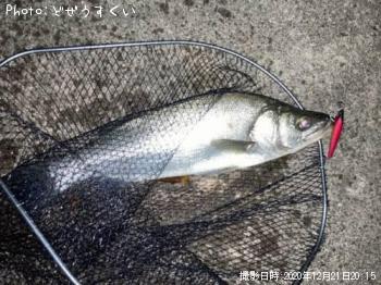 �ҥ饹����