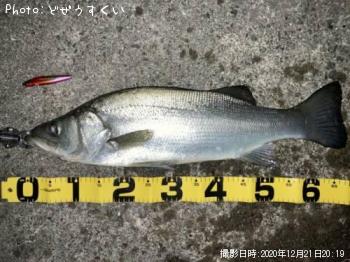 �ҥ饹����