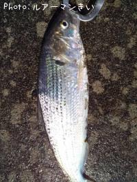 ���Υ���