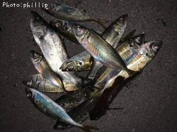 ��������Х롢������