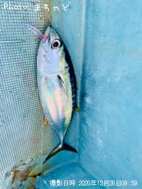 �ߡ����ӡڥ�Х��ޥ�����