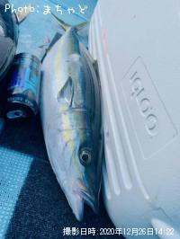 ��ޥȥʥ�����ڥĥ�֥��