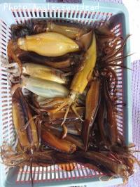 ¥¹¥ë¥á¥¤¥«