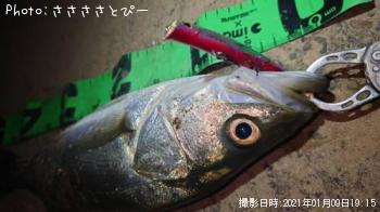 �����Х�