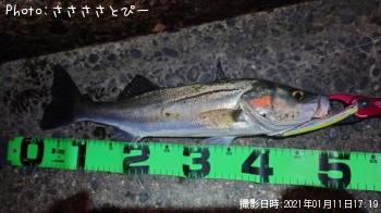 �����Х�