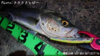 �����Х�