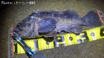 ¥¯¥í¥½¥¤